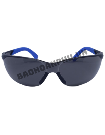 Kính Chống Bụi Safegear P9005Y-A (Tròng kính đen, gọng kính xanh)
