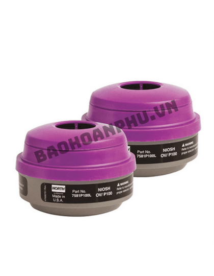 Cặp bộ lọc thay thế OV/P100 SPR468